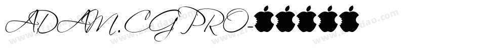 ADAM.CG PRO字体转换
